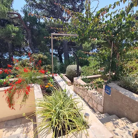 Boathouse Appartamento *